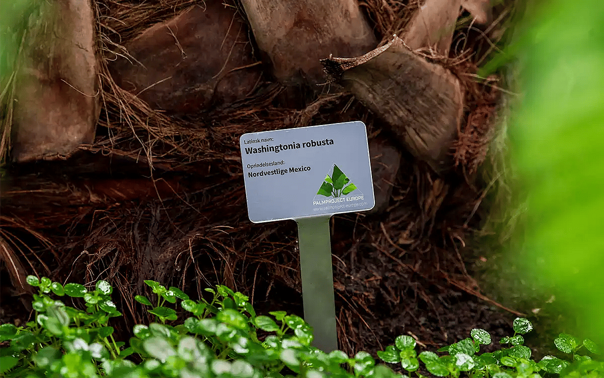 plant signs, About Palmproject Europe,