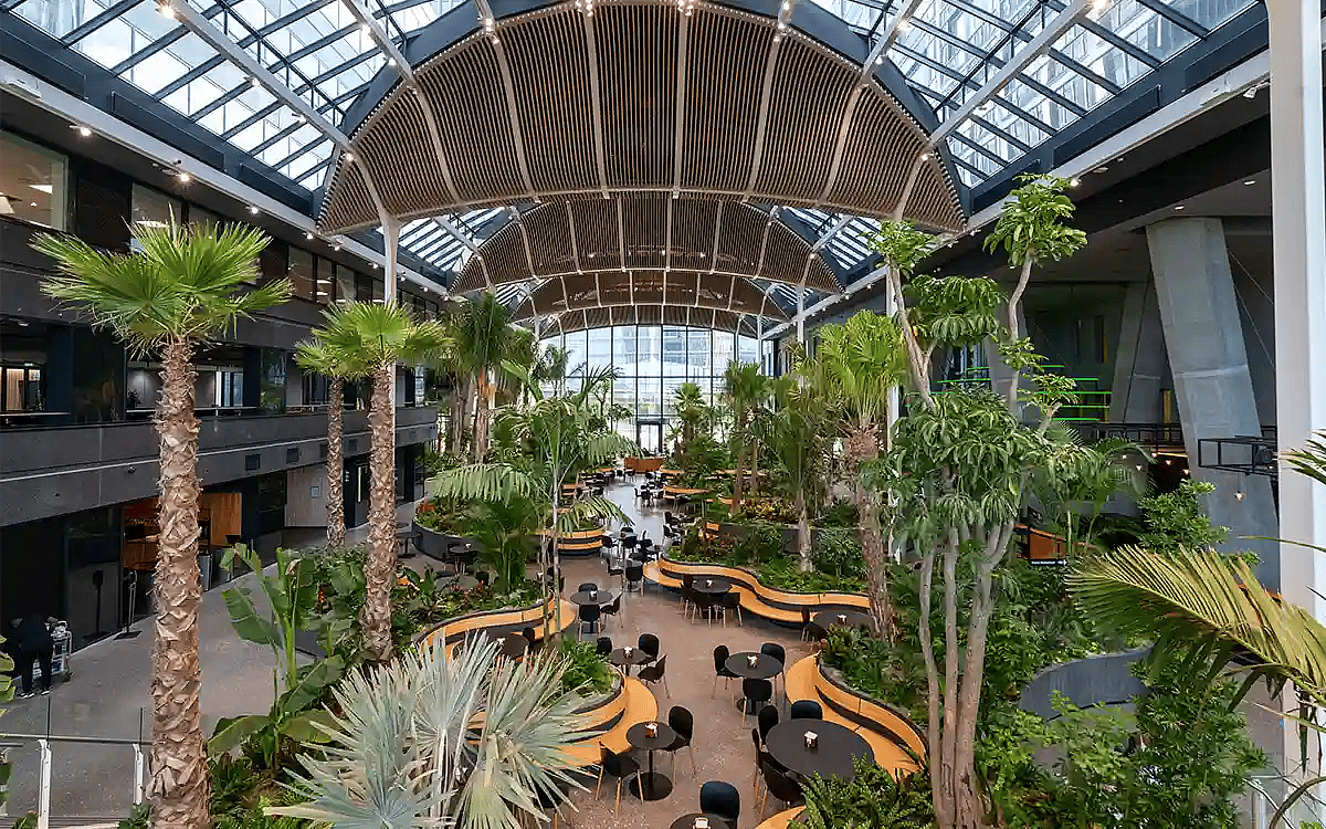 Indoor lanscaping in Denmark,