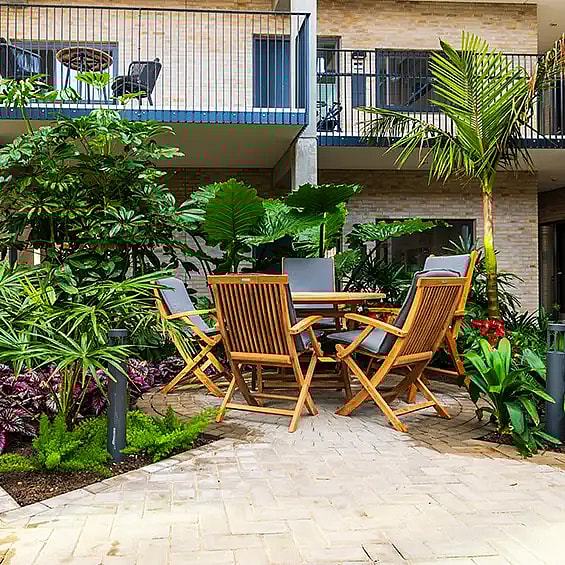 wooden furniture, Plants,