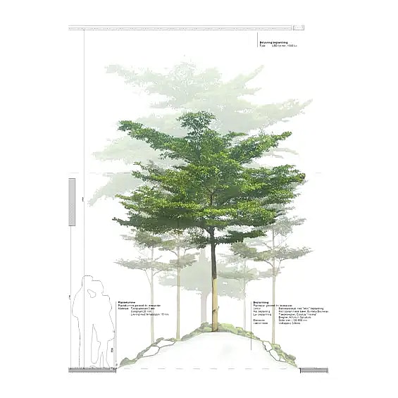 Design and develop green environments,